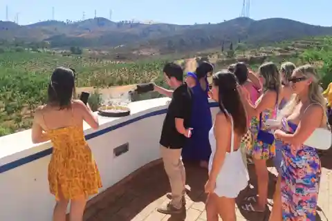 Algarve: Wine Tour And Lagos Exploration