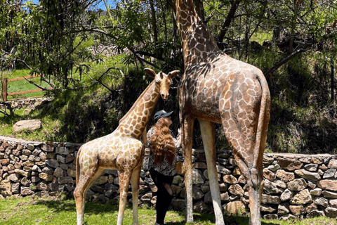 From Bogota: 4-Day Boyaca Tour with Hot Springs, Lake Tota