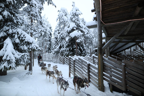 Full day: Reindeer Farm, Santa Claus Village & Husky Park
