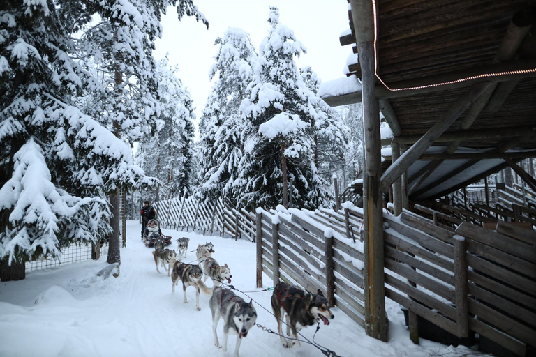 Full day: Reindeer Farm, Santa Claus Village & Husky Park