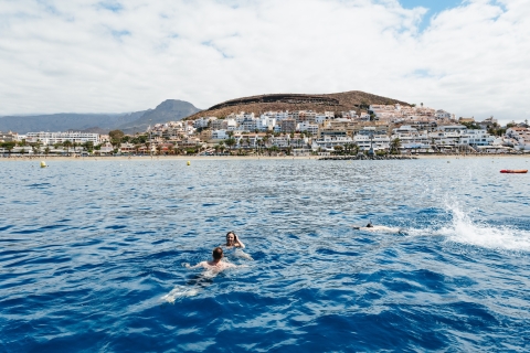 Tenerife: tour de ballenas y delfines con patrón localTour con Punto de Encuentro