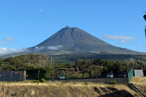 Azores: Pico Island Tour