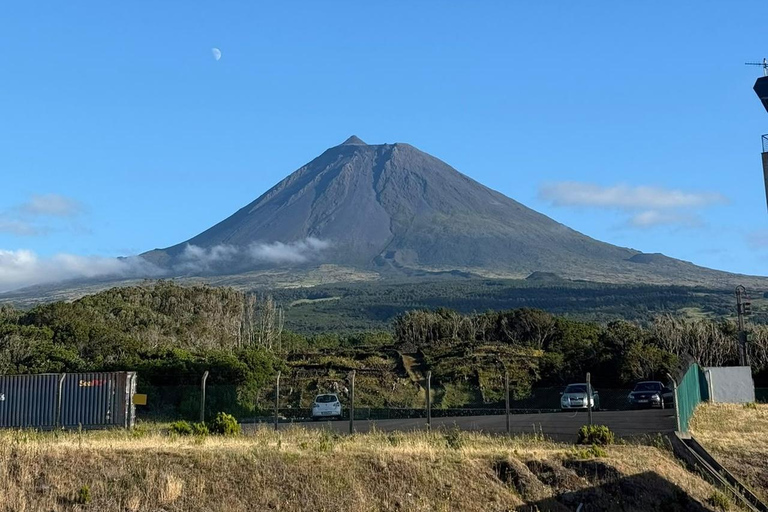Azores: Pico Island Tour