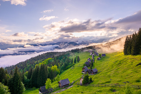 Escursioni e fotoEscursione e foto al tramonto