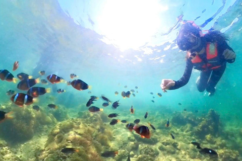 Hong Kong Sai Kung NEMO Clownfish Snorkeling Tour 【Private Tour】Hong Kong: NEMO Clownfish Snorkeling Tour