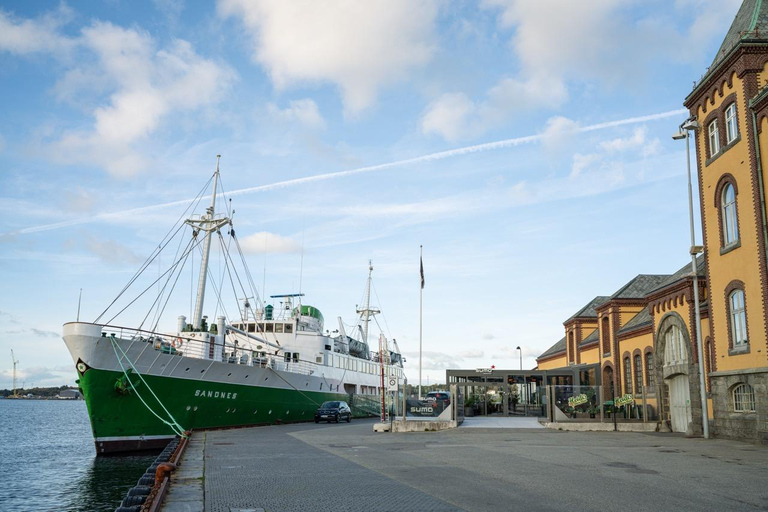 Private Stavanger city Highlights Driving tour