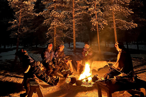 Saariselkä: Tour dell'aurora boreale e delle slitte trainate da renne