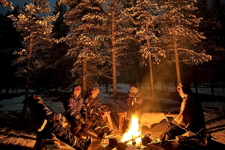 Saariselkä: Tour dell'aurora boreale e delle slitte trainate da renne