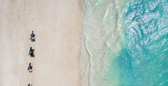 Zanzibar: 60-Minute Horseback Riding Tour