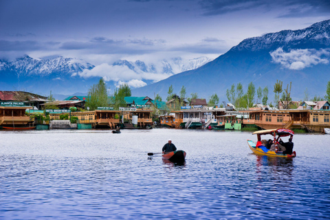 Srinagar: Private Day Tour with Shikara Ride at Dal Lake From Delhi: Private Day Tour with Shikara Ride at Dal Lake