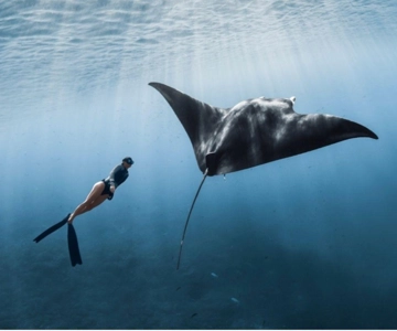 From Bali: Nusa Penida Snorkeling and West Coast Tour