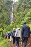 Materuni Wasserfälle, Kaffee -Tour und Chemka Hot Springs - Housity