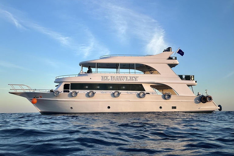 Sharm El Sheikh: Tiran Island Boat Diving & Snorkeling Intro Diving & Snorkeling – No Certification Required