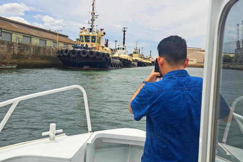 Port Adelaide: Dolphin and Maritime Cruise