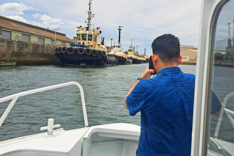 Port Adelaide: Dolphin and Maritime Cruise