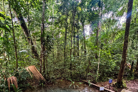 Presidente Figueiredo: Jungle Lodge Immersion in the Amazon (2–4 days) Full Jungle Lodge Experience in the Amazon (2 days and 1 night)