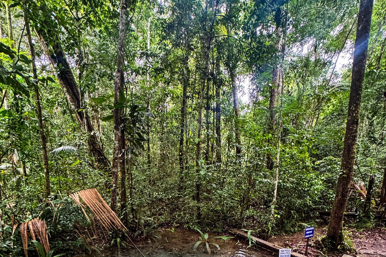 Presidente Figueiredo: Jungle Lodge Immersion in the Amazon (2–4 days) Full Jungle Lodge Experience in the Amazon (2 days and 1 night)