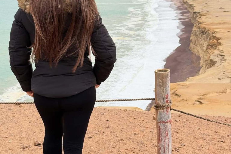 Paracas: visita guiada à Reserva Nacional com transfers