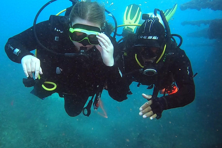 Discover Scuba Diving Program for Beginners