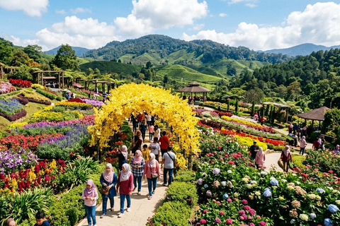 From Kuala Lumpur: Cameron Highlands Tour with Lunch From Kuala Lumpur: Cameron Highlands Day Trip Without Lunch