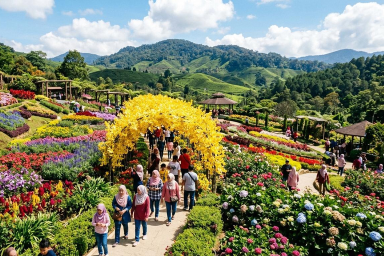From Kuala Lumpur: Cameron Highlands Tour with Lunch From Kuala Lumpur: Cameron Highlands Day Trip Without Lunch