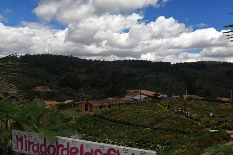 Flower Farm Silleteros and Carmen del Viboral Ceramics