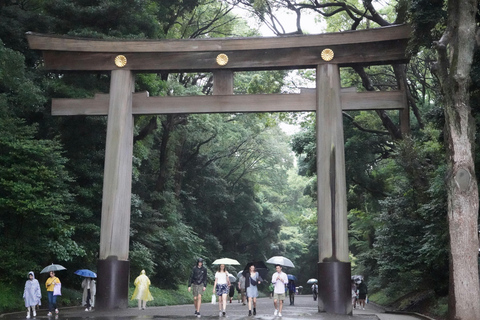 Harajuku: Meiji Shrine, Takeshita Street & Animal Cafe Walk