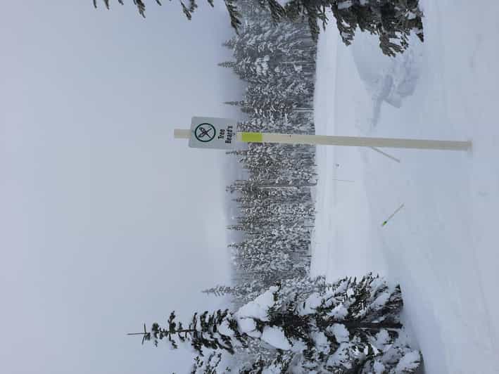 Vancouver Island Alpine Snowshoeing Tour GetYourGuide