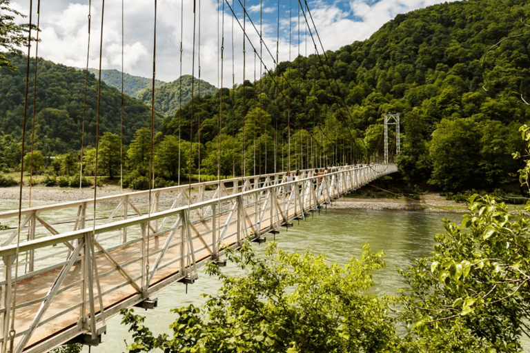 Cascada de Gonio Makhuntseti Degustación de vinos de la familia localMakhuntseti