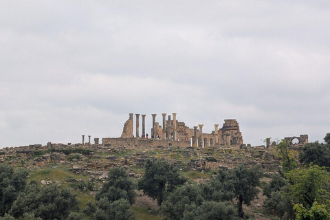 From Fes: Volubilis,Moulay Idriss&Meknes Day Trip with Guide Medium Group:Meknes,Volubilis, Moulay Idriss Guide in Meknes