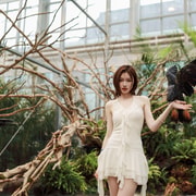 Gyeonggi: Gapyeong Begonia Bird Park Entry Ticket