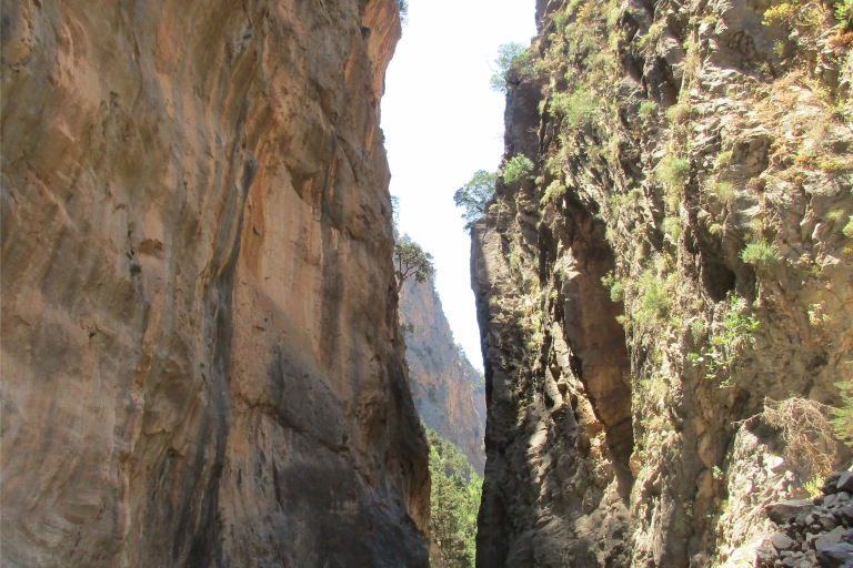 From Rethymno: Samaria Gorge Full-Day Trek with Pickup From Panormo, Lavris, Scaleta, Sfakaki, Stavromenos