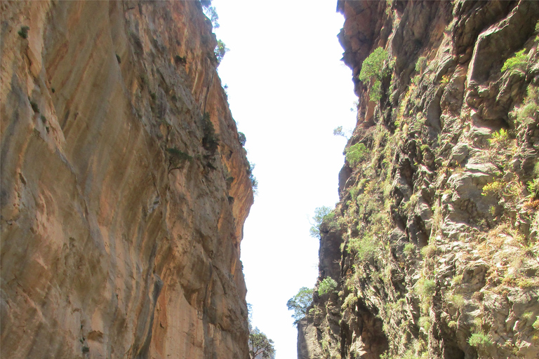 Vanuit Rethymno: Samaria Gorge-dagtocht met pick-upVanuit Gerani, Petres, Dramia, Kavros en Georgioupolis