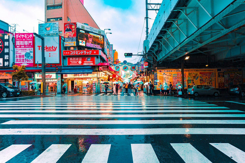 Tour privato di Tokyo di un giorno in auto con autista inglese