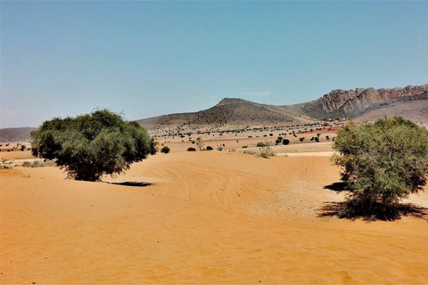 Souss-Massa National Park Entry Ticket