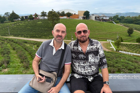 Day tour visit the top attractions in chiang rai