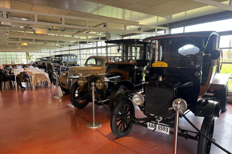 Montevideo: Spinoglio and Bouza Wineries tour with tasting