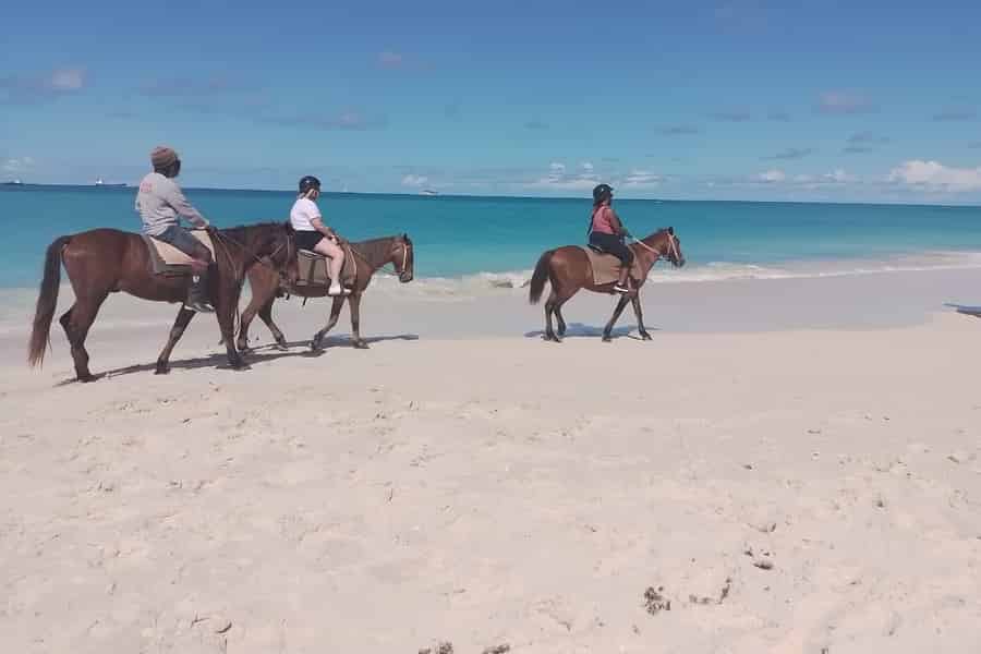 St. Johns: Ausritt, Schwimmen und Fort James Beach. Foto: GetYourGuide