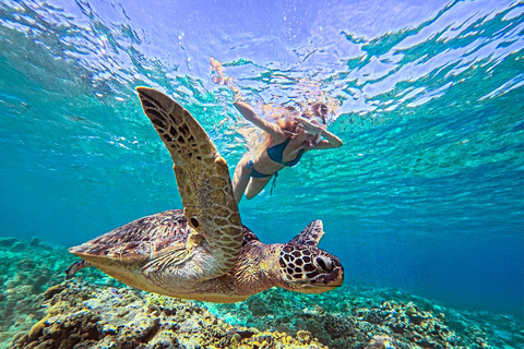 Mirissa VIP Turtles Snorkeling: Pool Training & Free GoPro