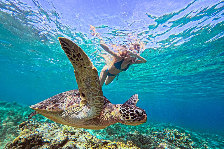Mirissa VIP Turtles Snorkeling: Pool Training & Free GoPro