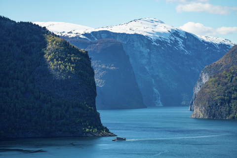 Flam Railway, Stegastein View Point and Fjord Cruise