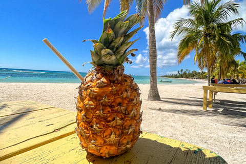 From La Romana: Saona Island for Aida Cruises Passengers
