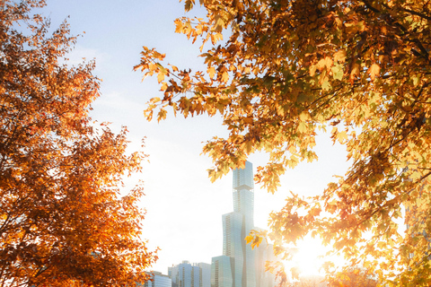 Lo mejor de Central Park: Un tour a pie panorámicoTour privado: Un tour a pie por Central Park
