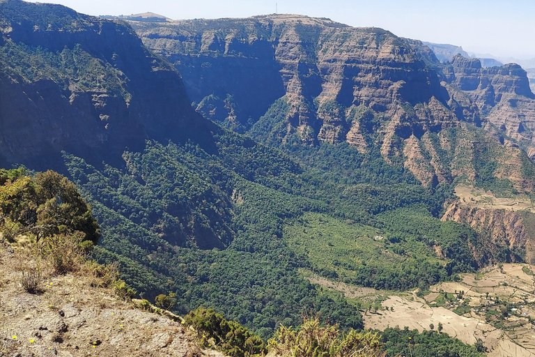 Von Gondar aus: 7-tägiger Simien Mountains Trek mit Camping