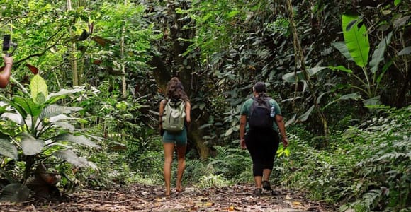Tahiti: Guided Hike in a Biodiversity Sanctuary with Swimming