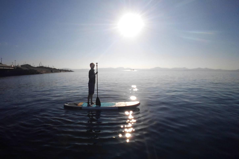 Nago Okinawa: SUP Adventure at Private Beach with Instructor