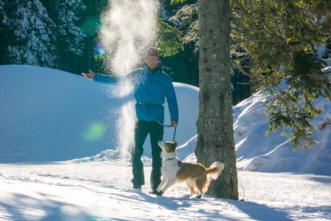 From Ljubljana/Bled: Beginner Snowshoe in Julian Alps From Bled - pickup at your accommodation