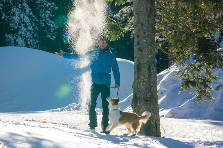 From Ljubljana/Bled: Beginner Snowshoe in Julian Alps From Bled - pickup at your accommodation