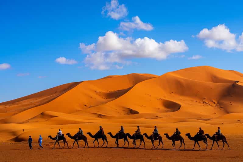 Merzouga : nuit dans un camp de luxe avec balade en chameau et dîner - dromadaire