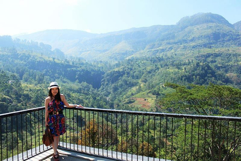 Kandy To Nanuoya Drop Tour & Morning Ella Train Journey Kandy To Nanuoya Drop Tour & Morning Ella Train Journey Car*